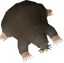 Giant Mole w/o Diary